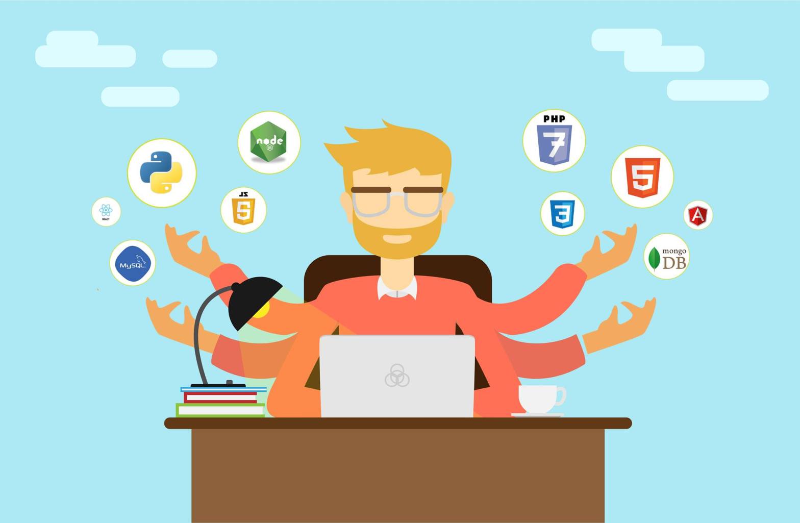 What does your career as a junior software developer look like?